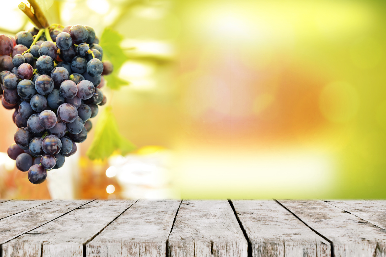 Grapes Background on Table